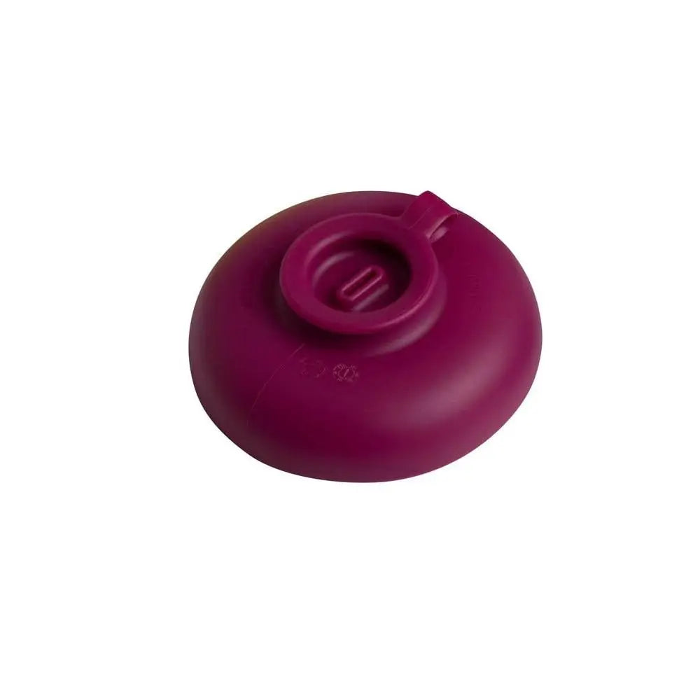 Drip Free Popsicle Holder - MONLANE