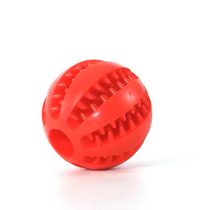 CleanChew Treat Ball