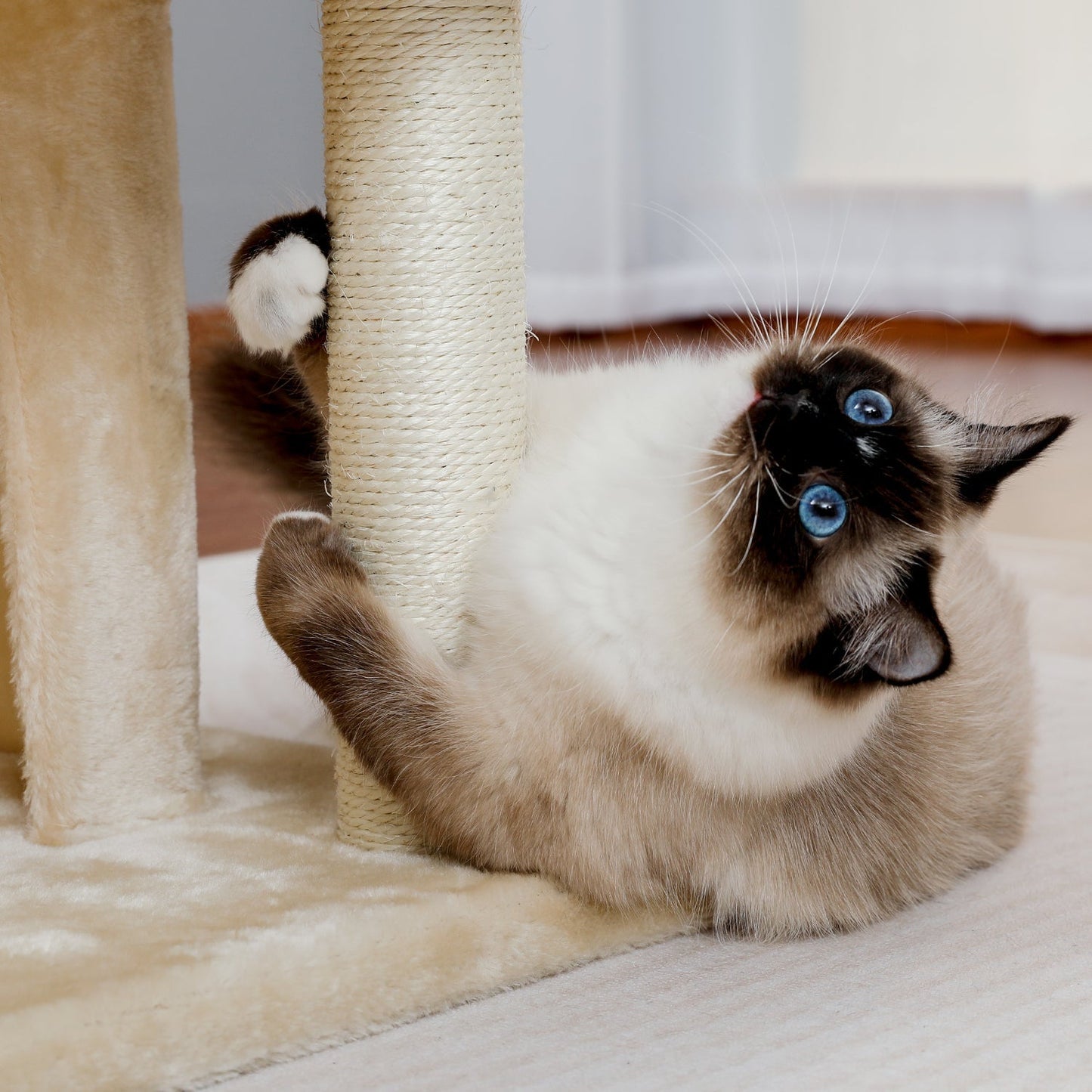 Modern Cat Tree Cat Tower