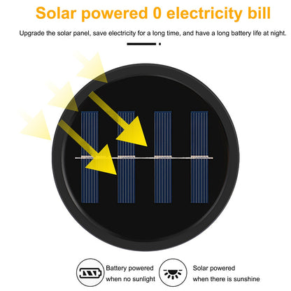Solar Power Ground Lights