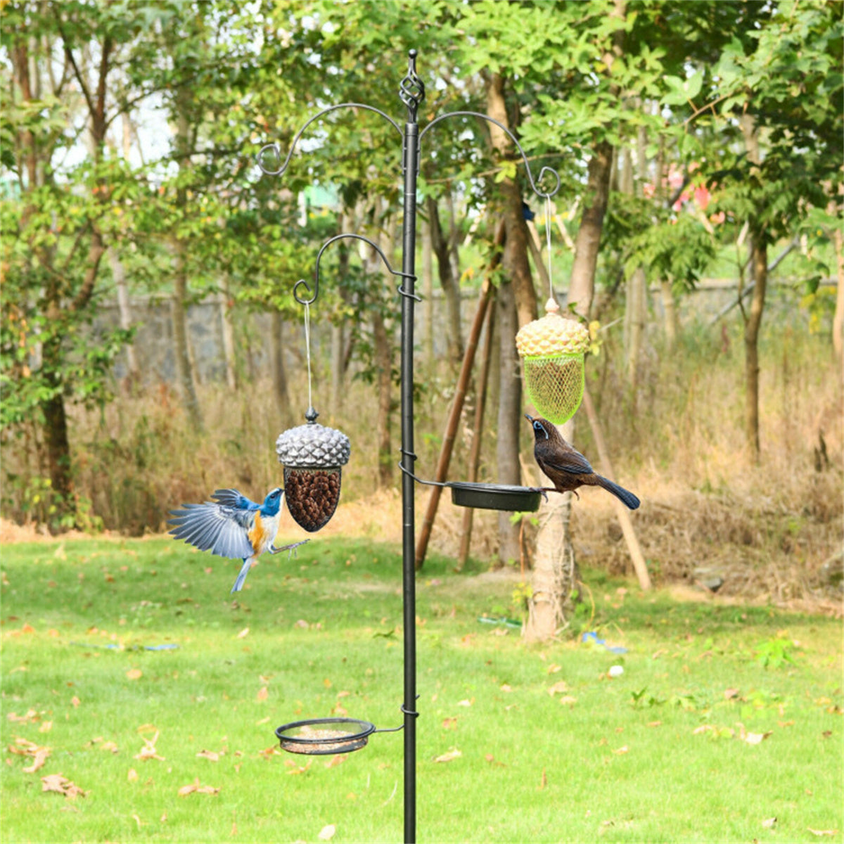 Bird Feeder Outdoor Hanging Food Dispenser - MONLANE