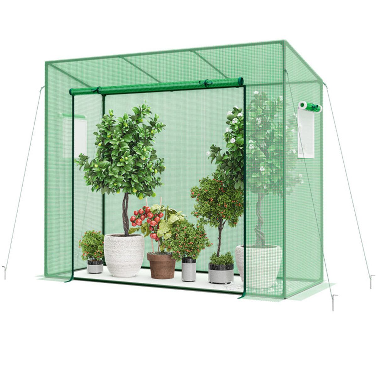 Outdoor Mini Greenhouse - MONLANE