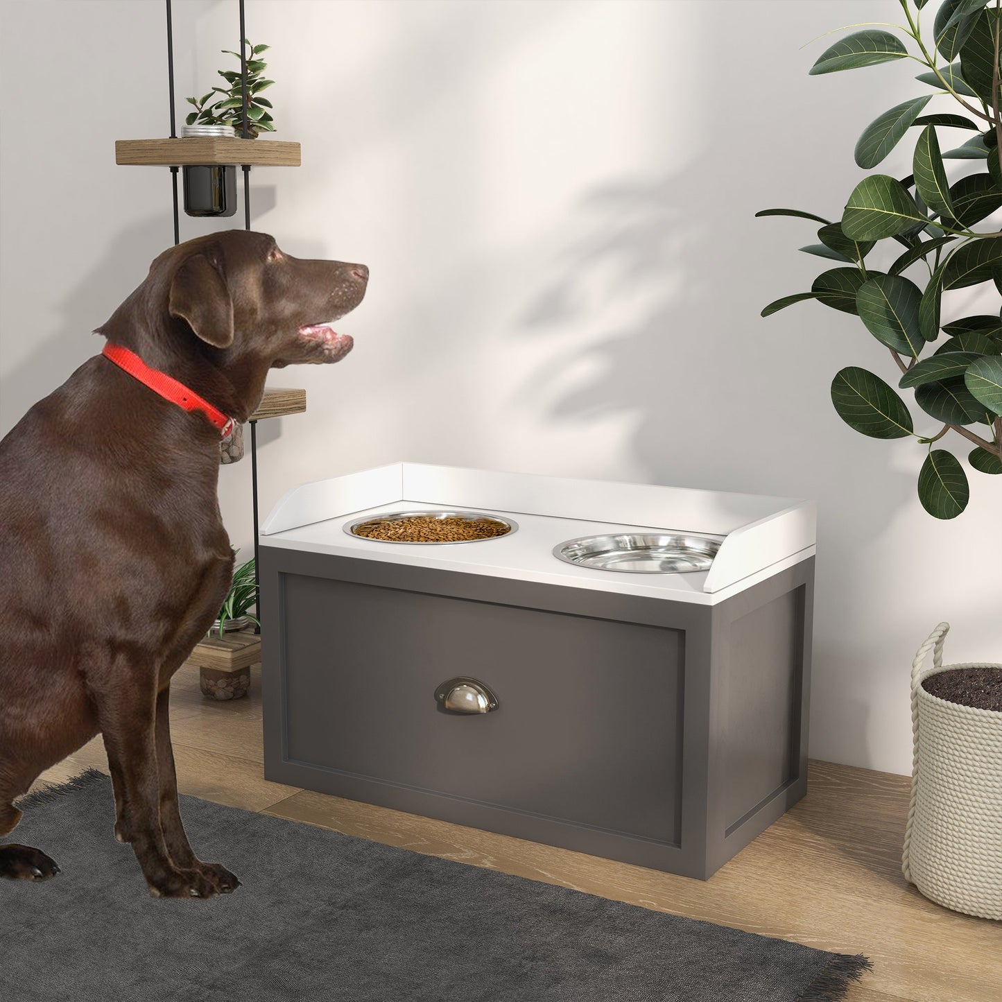 Elevated Dog Bowl