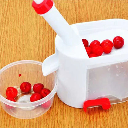 Fruit Core & Seed Remover