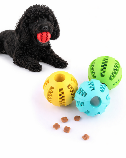 CleanChew Treat Ball