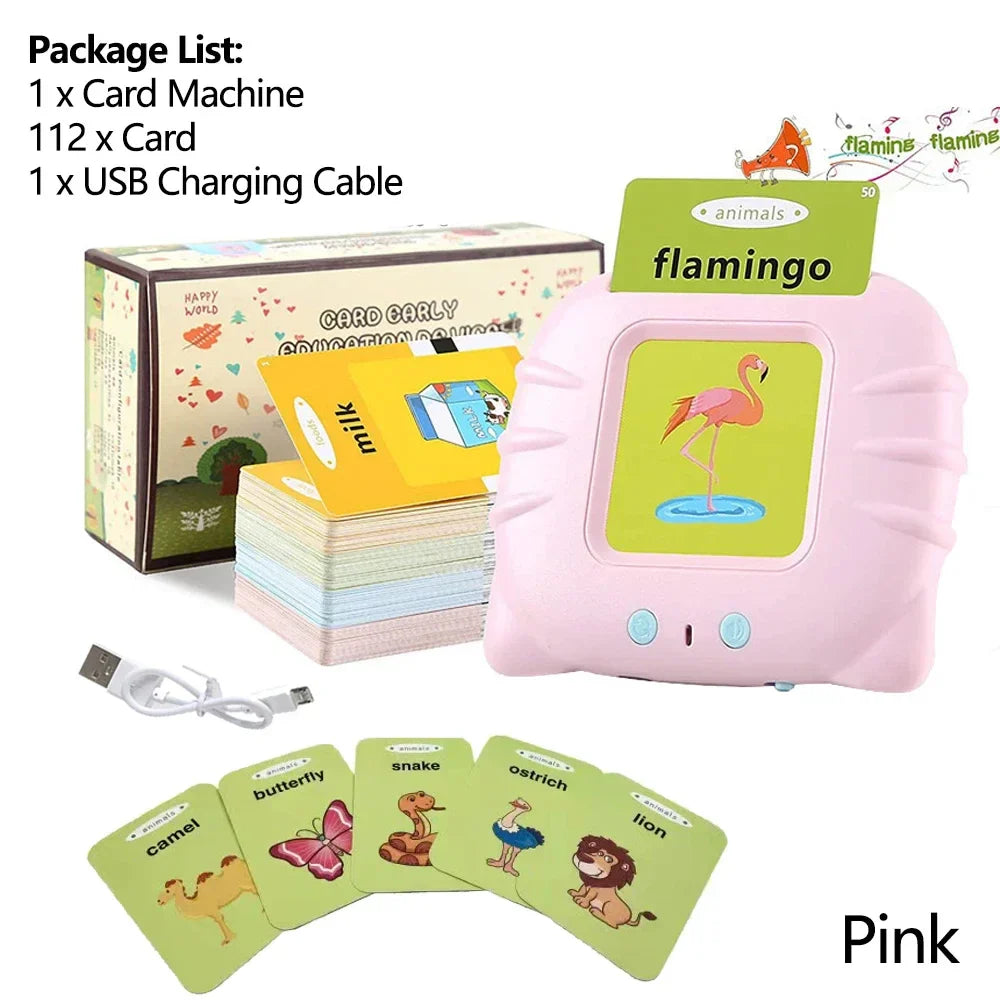 Talking Flashcards Electronic Audio Book