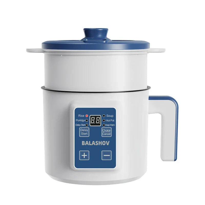 220V Multi-Function Electric Rice Cooker (Single/Double Layer)