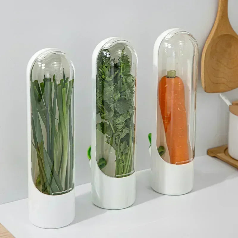 Refrigerator Herb Crisper Saver Container Vegetable