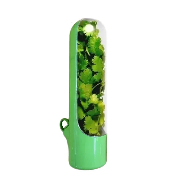 Refrigerator Herb Crisper Saver Container Vegetable