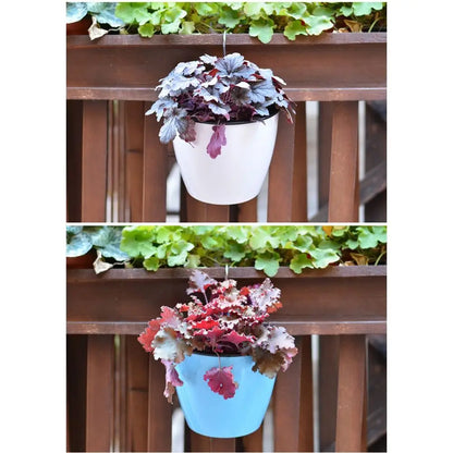 Self Watering Flower Pot - MONLANE