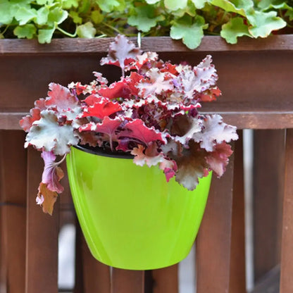 Self Watering Flower Pot - MONLANE
