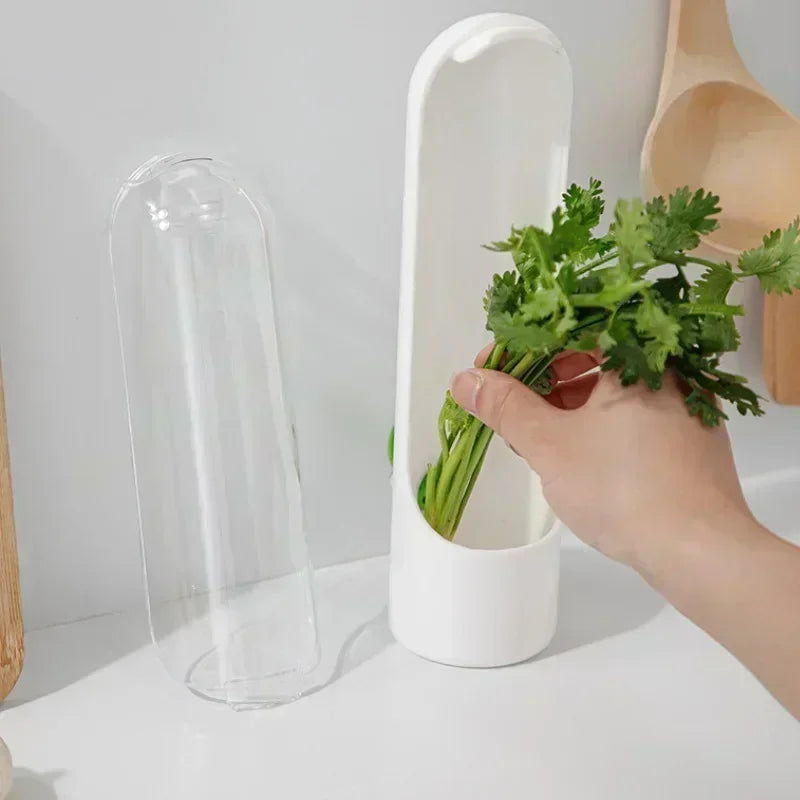 Refrigerator Herb Crisper Saver Container Vegetable