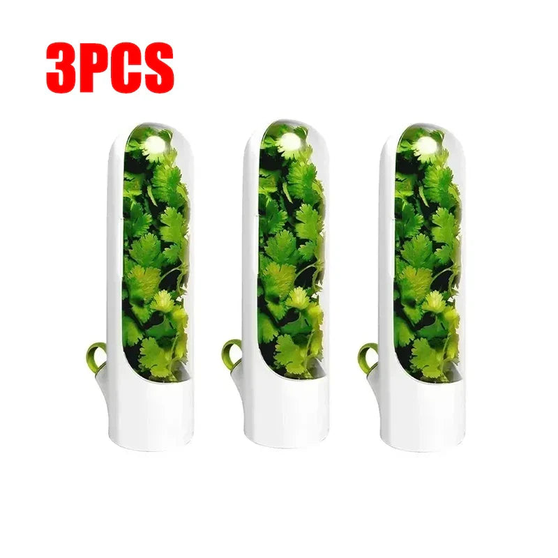 Refrigerator Herb Crisper Saver Container Vegetable