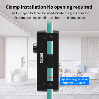 3D Face Recognition Smart Glass Lock