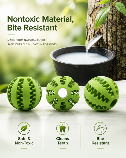 CleanChew Treat Ball