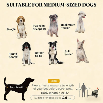 Bicycle Cart for Pets and human