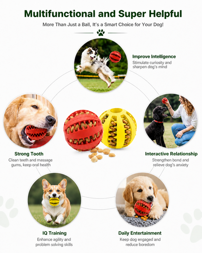 CleanChew Treat Ball