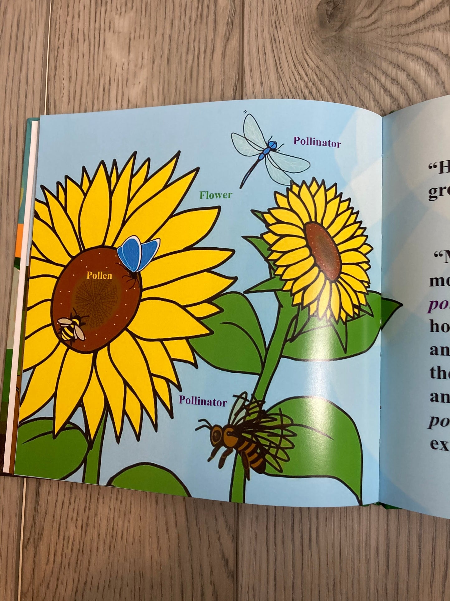 Imani 3 Books Bundle (3 BOOKS) Children's Science Book - MONLANE