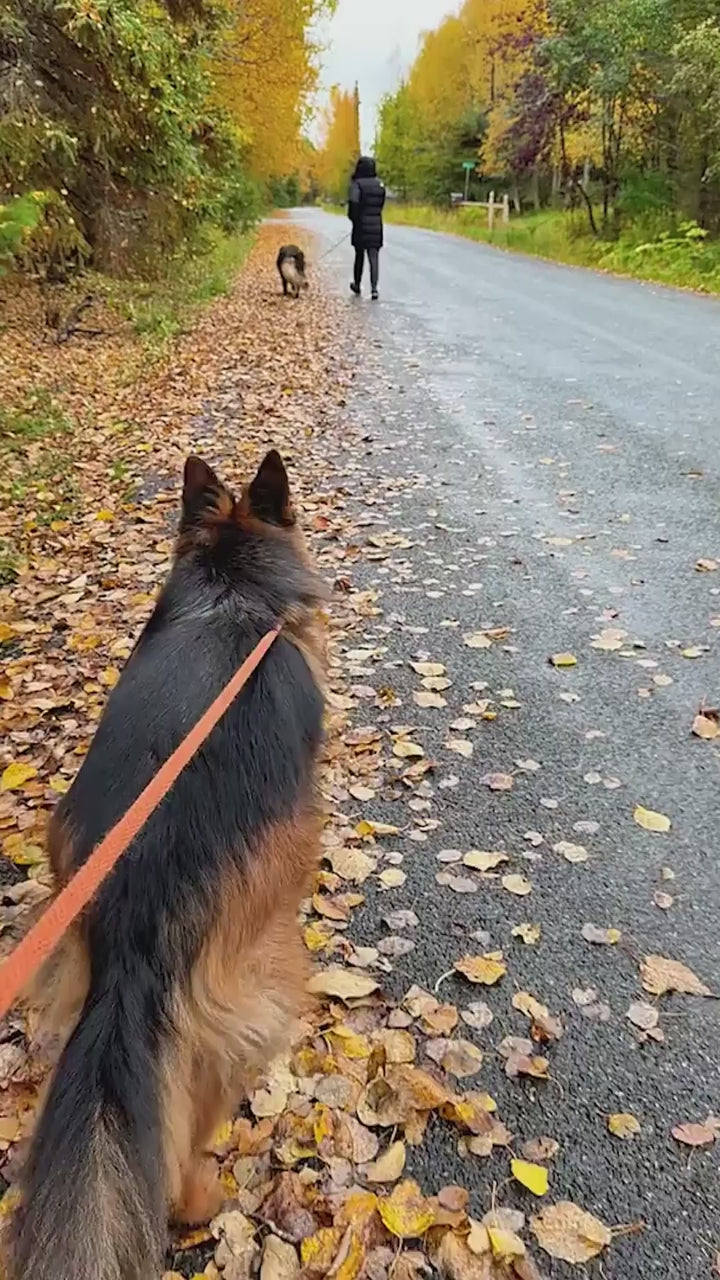 3Portable Pet Water Bottle3.mp4