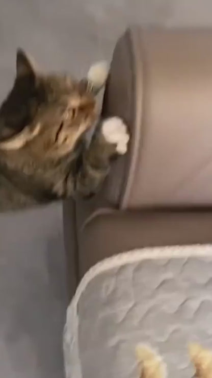 Wooden Cat House with Scratching Pad 1.mp4