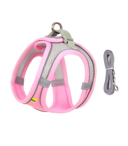 Reflective Mesh Harness & Leash Set